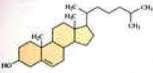 cholesterol